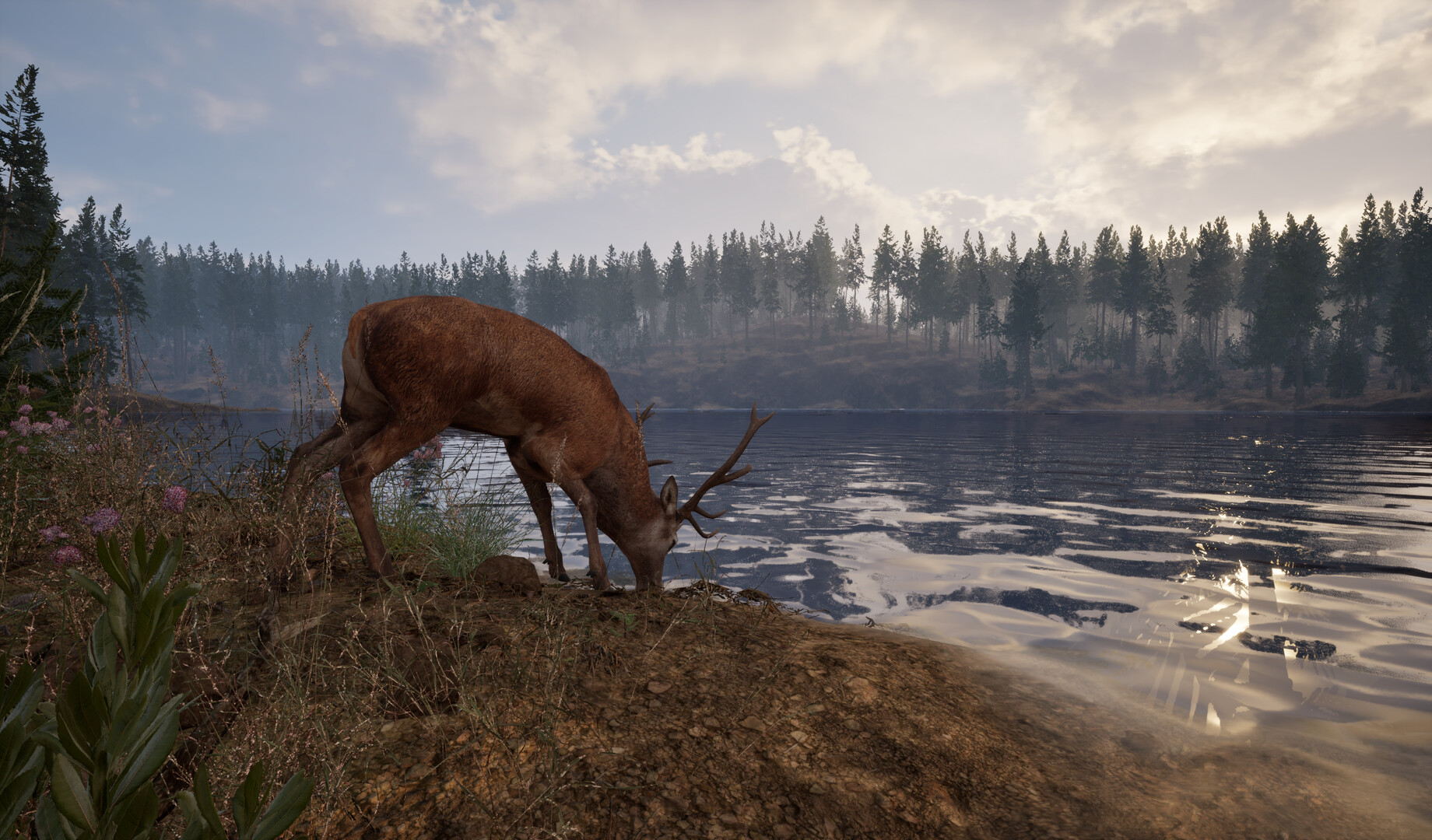 Online: 404 official Steam gameplay screenshot